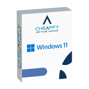 Windows licences